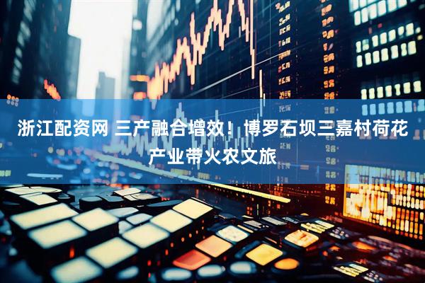 浙江配资网 三产融合增效！博罗石坝三嘉村荷花产业带火农文旅
