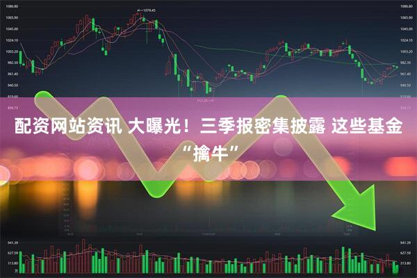 配资网站资讯 大曝光！三季报密集披露 这些基金“擒牛”